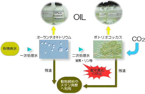 sourui1